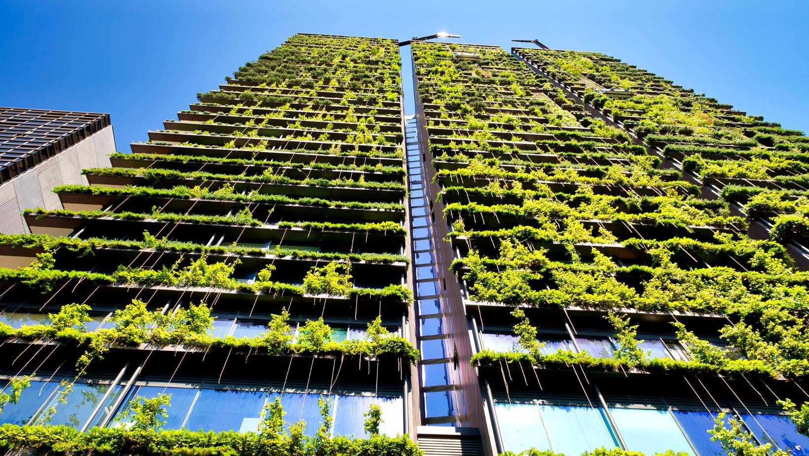 Green Skills for Cities