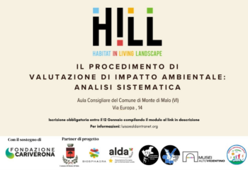 HILL: Valutazione di Impatto Ambientale. Sesta lezione con analisi sistematica: LA COMPONENTE SOCIO - ECONOMICA