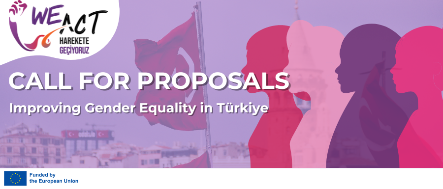 Call for Proposals: Apply for Financial Support for initiatives on Improving Gender Equality in Türkiye