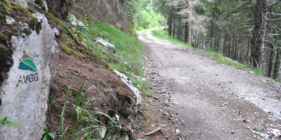 In the Footsteps of the Great War: [Free] Guided Hike to Monte Zebio (Vicenza) on 11 May 2025