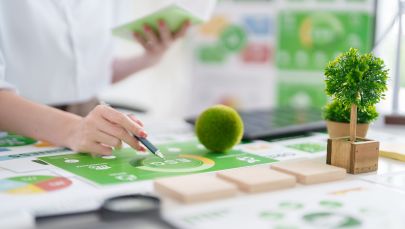 Smart Governance for Youth Involvement in Climate Action (SG4Y-CLIMATE)