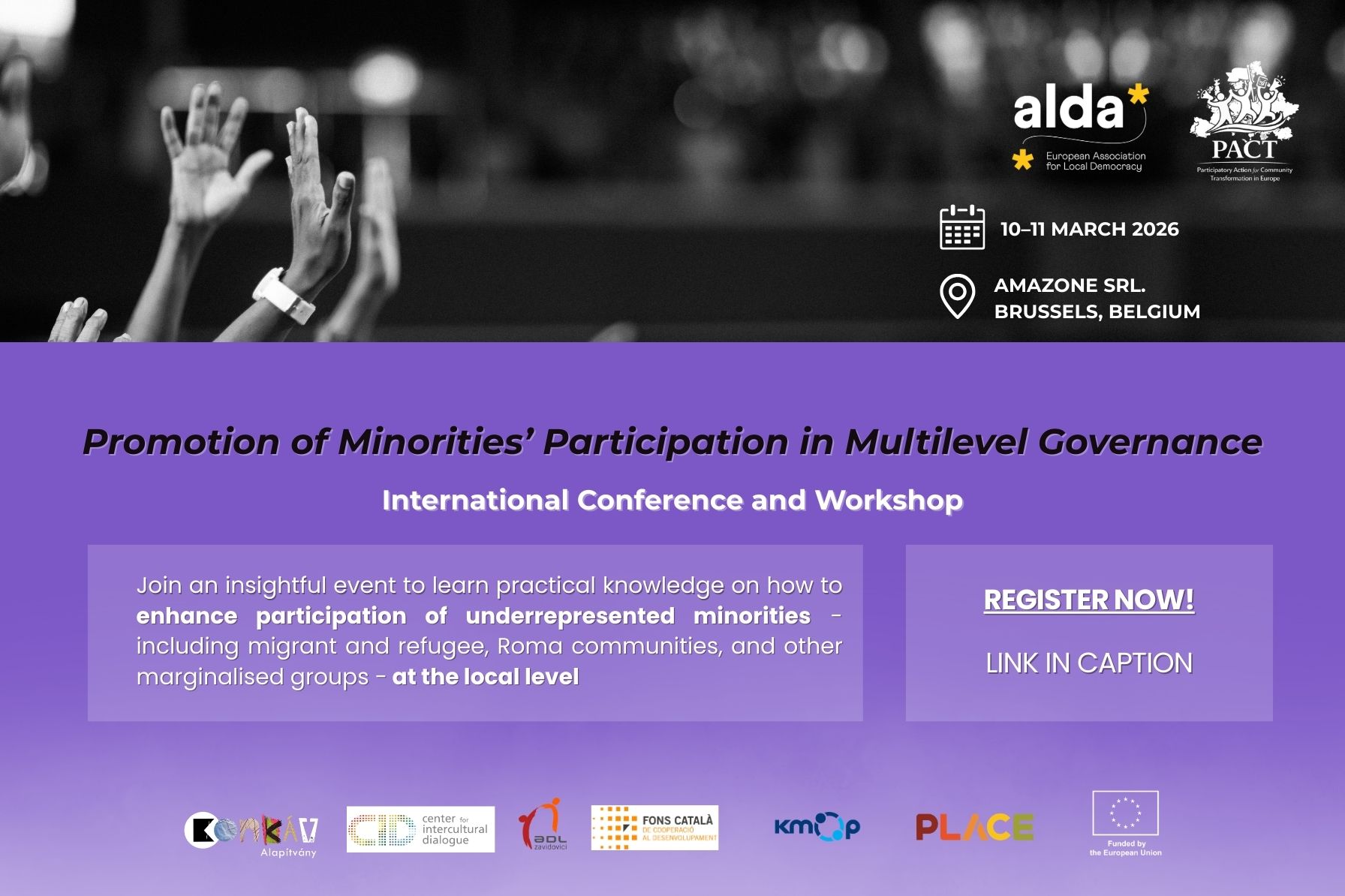 Minorities participation in multilevel governance