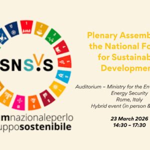 National Forum Sustainable Development plenary assembly