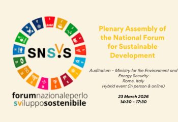 National Forum Sustainable Development plenary assembly